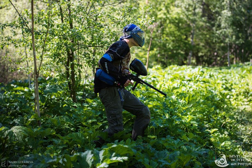 БПМ 2019: в поле